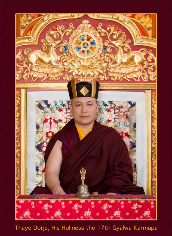 Offizielles Foto - Thaye Dorje, Seine Heiligkeit der 17. Gyalwa Karmapa